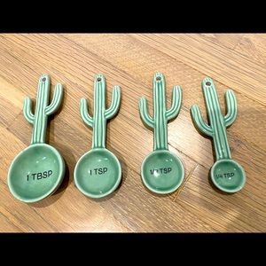 Anthropologie measuring spoon set